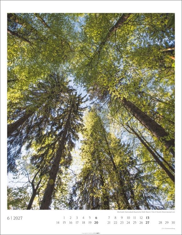 Produktbild: Heimische W&auml;lder Kalender 2027