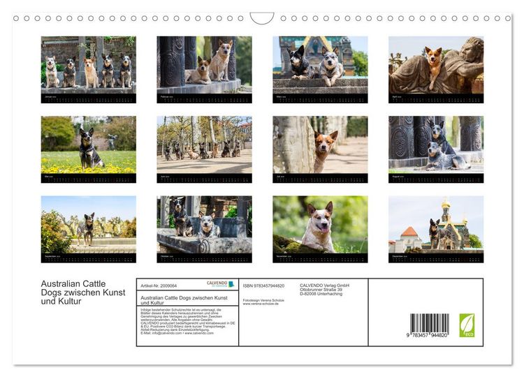Produktbild: Australian Cattle Dogs zwischen Kunst und Kultur (Wandkalender 2026 DIN A3 quer), CALVENDO Monatskalender