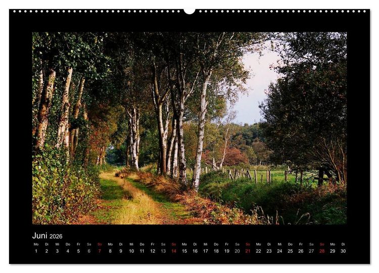 Produktbild: Landschaft Teufelsmoor / 2026 (hochwertiger Premium Wandkalender 2026 DIN A2 quer), Kunstdruck in Hochglanz