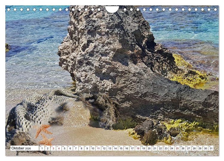 Produktbild: Strandgut Szenen (Wandkalender 2026 DIN A4 quer), CALVENDO Monatskalender
