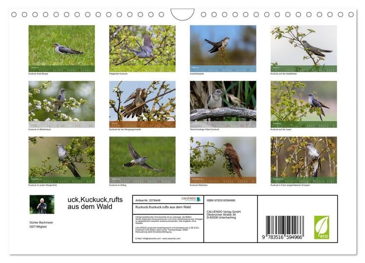 Produktbild: Kuckuck,Kuckuck,rufts aus dem Wald (Wandkalender 2026 DIN A4 quer), CALVENDO Monatskalender