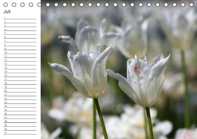 Produktbild: Ich denk an Dich ... Pers&ouml;nlicher Terminkalender (Tischkalender immerw&auml;hrend DIN A5 quer)