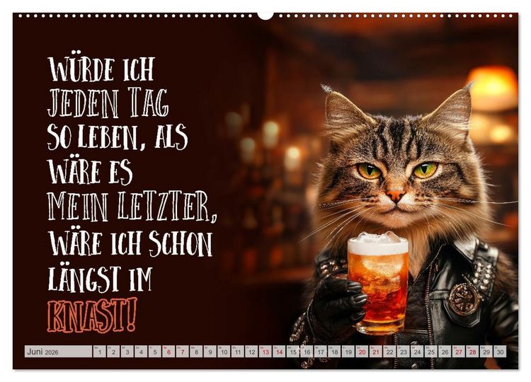 Produktbild: Schnurrige Gl&uuml;ckw&uuml;nsche - Spr&uuml;che zum &Auml;lterwerden (hochwertiger Premium Wandkalender 2026 DIN A2 quer), Kunstdruck in Hochglanz