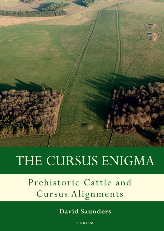 Produktbild: The Cursus Enigma