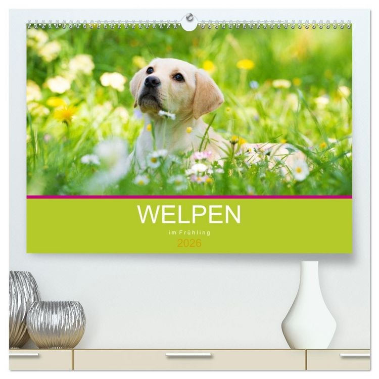 Produktbild: Welpen im Fr&uuml;hling (hochwertiger Premium Wandkalender 2026 DIN A2 quer), Kunstdruck in Hochglanz