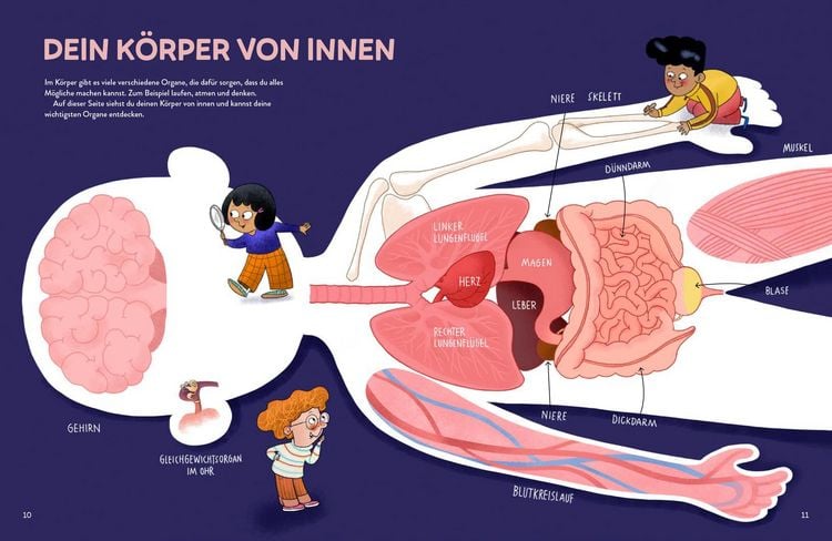 Produktbild: Von Kopf bis Fu&szlig; erstaunlich &ndash; Spannende Fakten &uuml;ber deinen K&ouml;rper