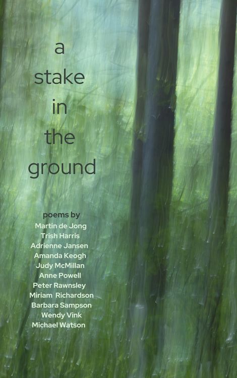 Produktbild: A Stake In The Ground
