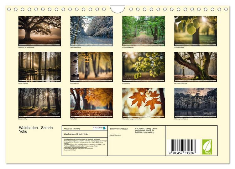 Produktbild: Waldbaden - Shinrin Yoku (Wandkalender 2026 DIN A4 quer), CALVENDO Monatskalender
