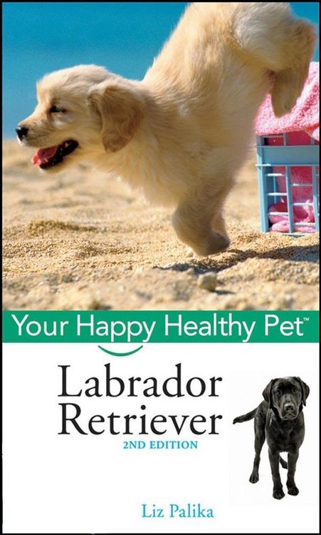 Produktbild: Labrador Retriever