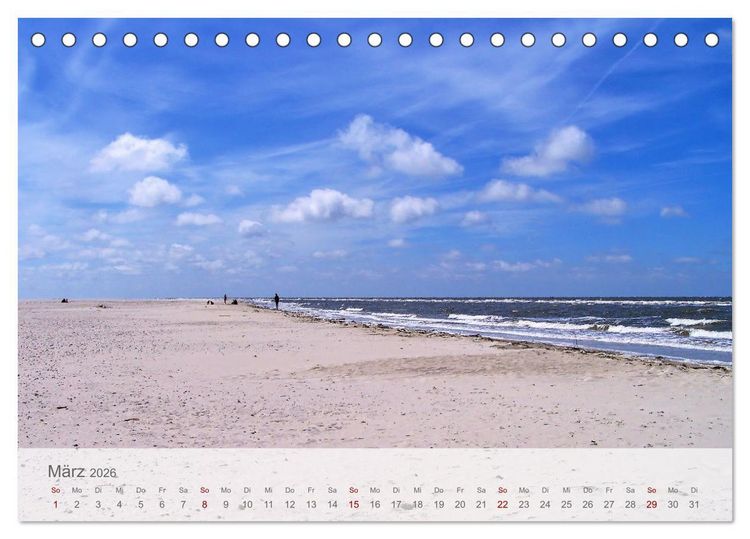 Produktbild: Salzwiesen, Schafe und Watt - Westerhever, ein Naturparadies an der Nordsee (Tischkalender 2026 DIN A5 quer), CALVENDO Monatskalender