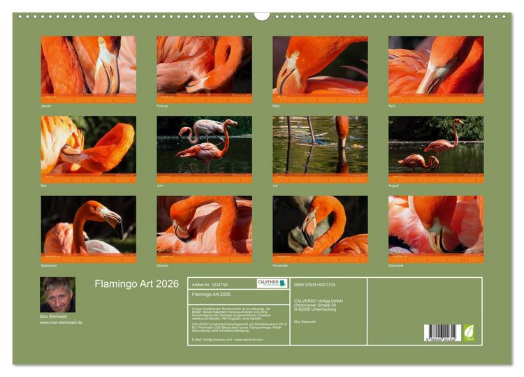 Produktbild: Flamingo Art 2026 (Wandkalender 2026 DIN A2 quer), CALVENDO Monatskalender