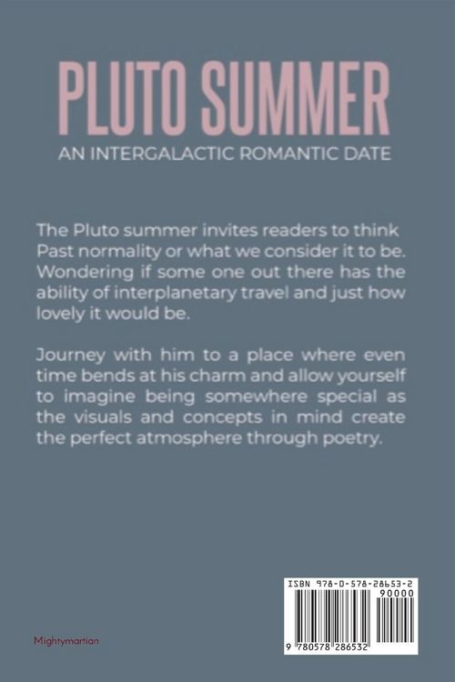 Produktbild: The Pluto Summer