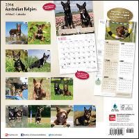 Produktbild: Australian Kelpies Calendar