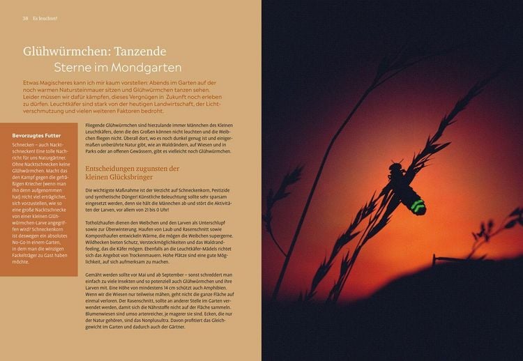 Produktbild: Der Nachtgarten