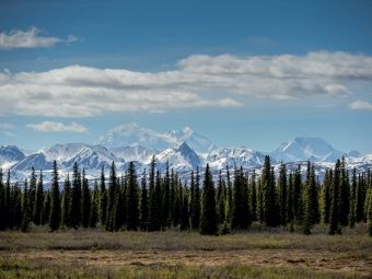Produktbild: CALVENDO Puzzle Im Denali, Alaska | 1000 Teile Lege-Gr&ouml;&szlig;e 64x48cm Foto-Puzzle f&uuml;r gl&uuml;ckliche Stunden