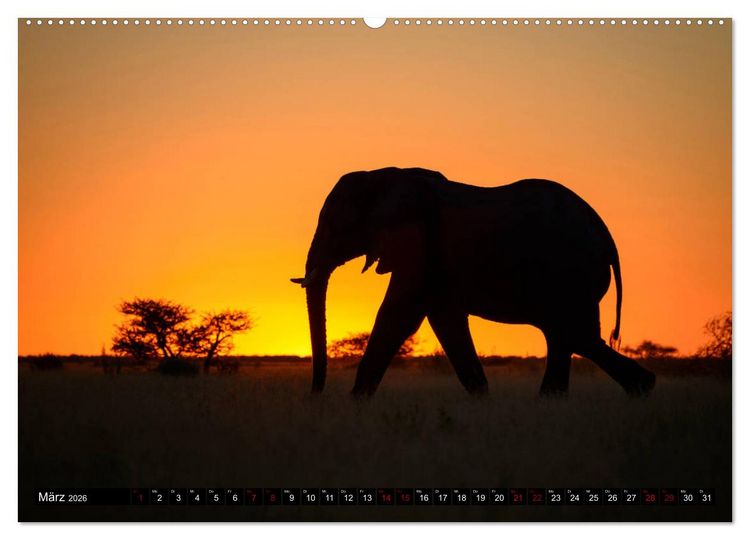 Produktbild: Faszination Botswana (hochwertiger Premium Wandkalender 2026 DIN A2 quer), Kunstdruck in Hochglanz
