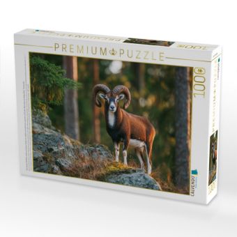 Produktbild: CALVENDO Puzzle Ein stolzes Mufflon steht auf einem Felsen im Wald und wird vom warmen Licht der Abendsonne beleuchtet, Tierpuzzle | 1000 Teile Lege-Gr&ouml;&szlig;e 64x48cm Foto-Puzzle f&uuml;r gl&uuml;ckliche Stunden
