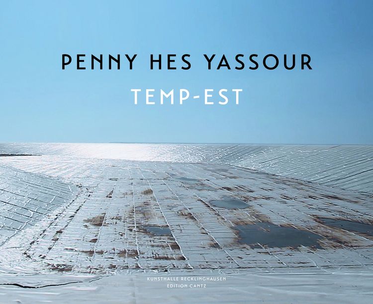 Produktbild: Penny Hes Yassour &ndash; Temp-Est
