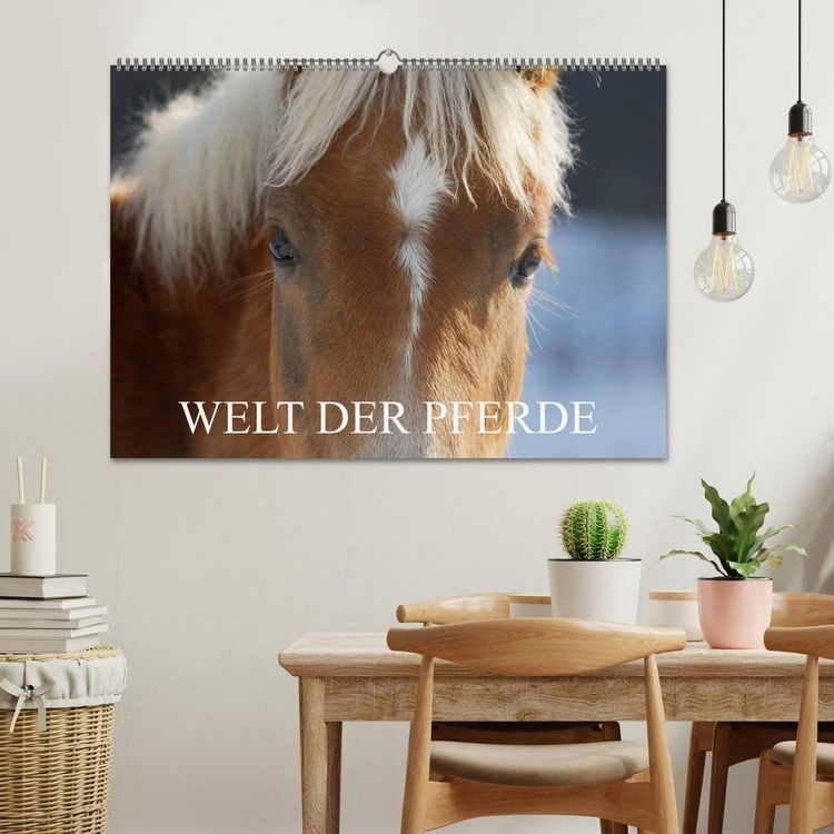 Produktbild: Welt der Pferde (Wandkalender 2026 DIN A2 quer), CALVENDO Monatskalender