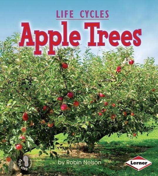 Produktbild: Apple Trees