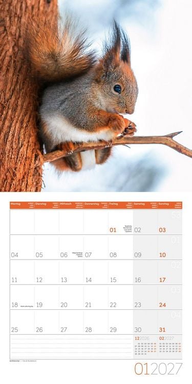 Produktbild: Gartenfreunde Kalender 2027 - 30x30 - Art12