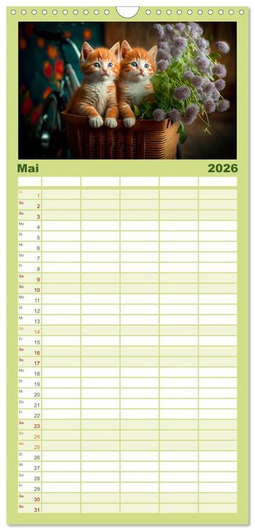 Produktbild: Familienplaner 2026 - Katzen Freunde mit 5 Spalten (Wandkalender, 21 x 45 cm) CALVENDO