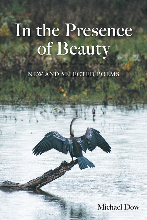 Produktbild: In the Presence of Beauty