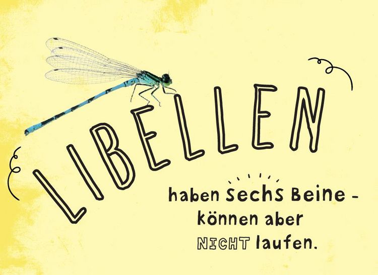 Produktbild: Fun Facts I Unn&uuml;tzes Wissen f&uuml;r Kids ab 8 Jahren