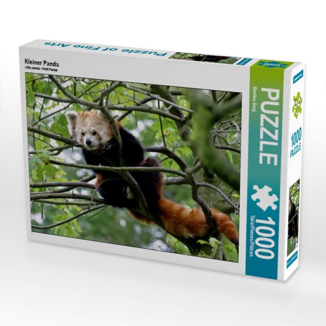 Produktbild: CALVENDO Puzzle Kleiner Panda | 1000 Teile Lege-Gr&ouml;&szlig;e 64x48cm Foto-Puzzle f&uuml;r gl&uuml;ckliche Stunden