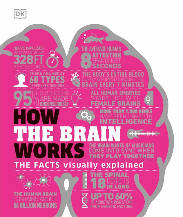 Produktbild: How the Brain Works