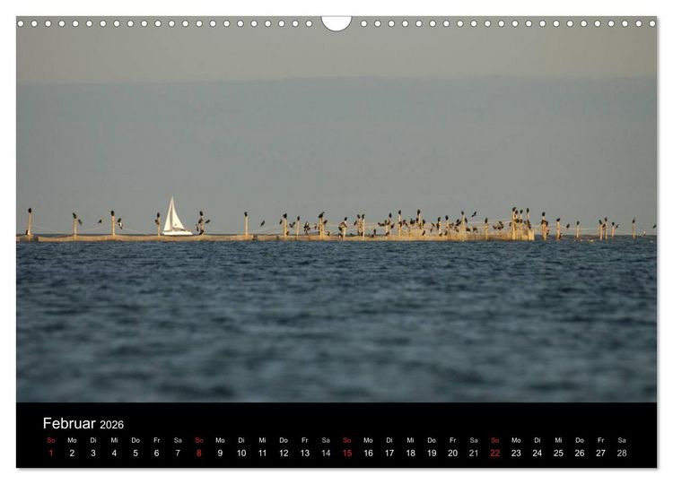 Produktbild: Wasserwandern in Mecklenburg-Vorpommern (Wandkalender 2026 DIN A3 quer), CALVENDO Monatskalender