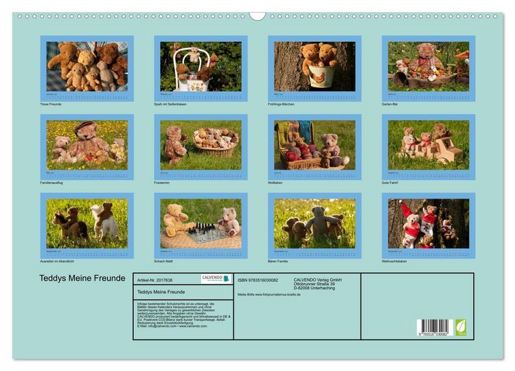 Produktbild: Teddys Meine Freunde (Wandkalender 2026 DIN A2 quer), CALVENDO Monatskalender