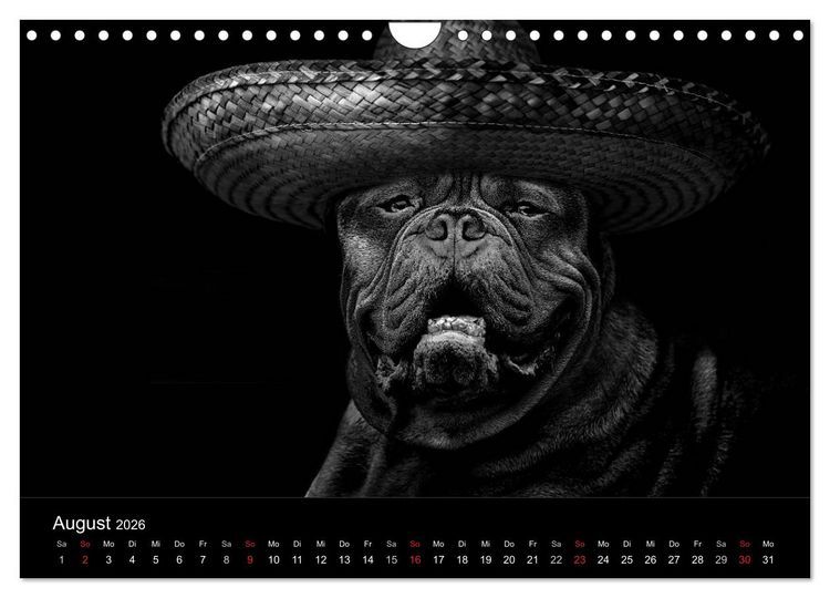 Produktbild: H&uuml;tehunde (Wandkalender 2026 DIN A4 quer), CALVENDO Monatskalender