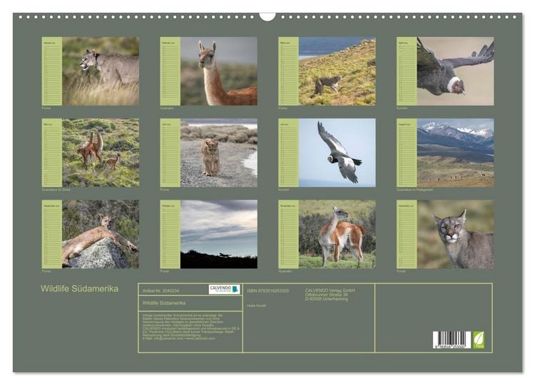 Produktbild: Wildlife S&uuml;damerika (Wandkalender 2026 DIN A2 quer), CALVENDO Monatskalender