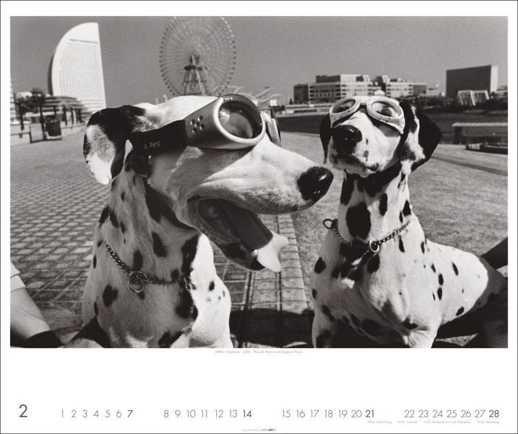 Produktbild: Magnum Photos - Elliott Erwitt Kalender 2027