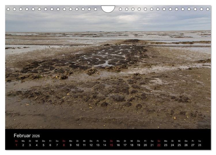 Produktbild: Pellworm 2026 (Wandkalender 2026 DIN A4 quer), CALVENDO Monatskalender
