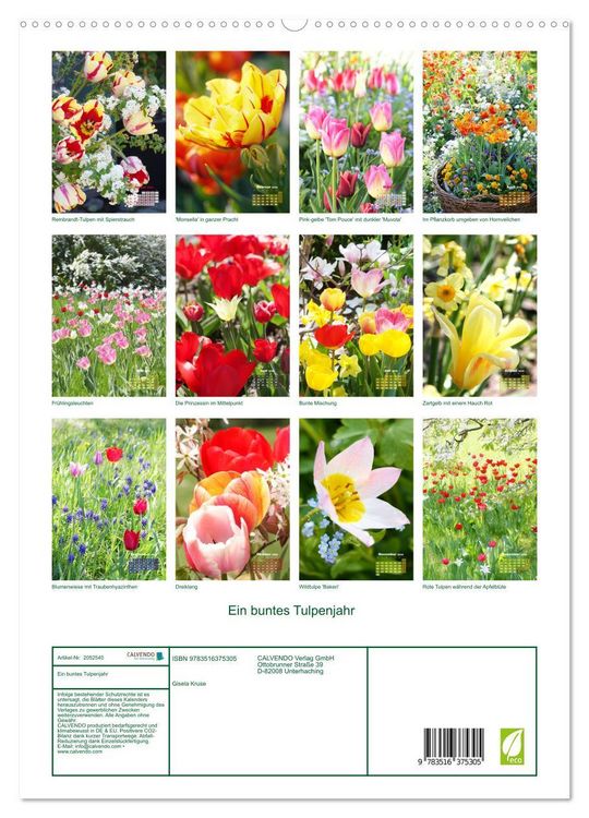Produktbild: Ein buntes Tulpenjahr (hochwertiger Premium Wandkalender 2026 DIN A2 hoch), Kunstdruck in Hochglanz