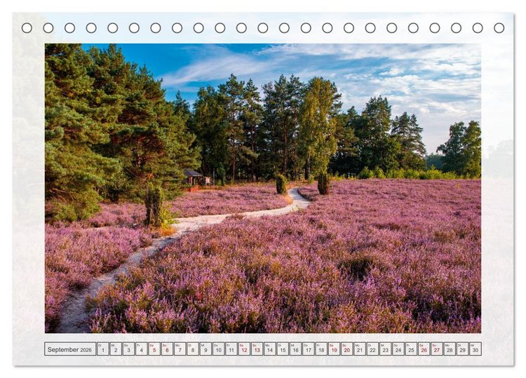Produktbild: Naturpark D&uuml;mmer (Tischkalender 2026 DIN A5 quer), CALVENDO Monatskalender