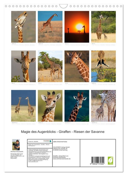 Produktbild: Magie des Augenblicks - Giraffen - Riesen der Savanne (Wandkalender 2026 DIN A3 hoch), CALVENDO Monatskalender
