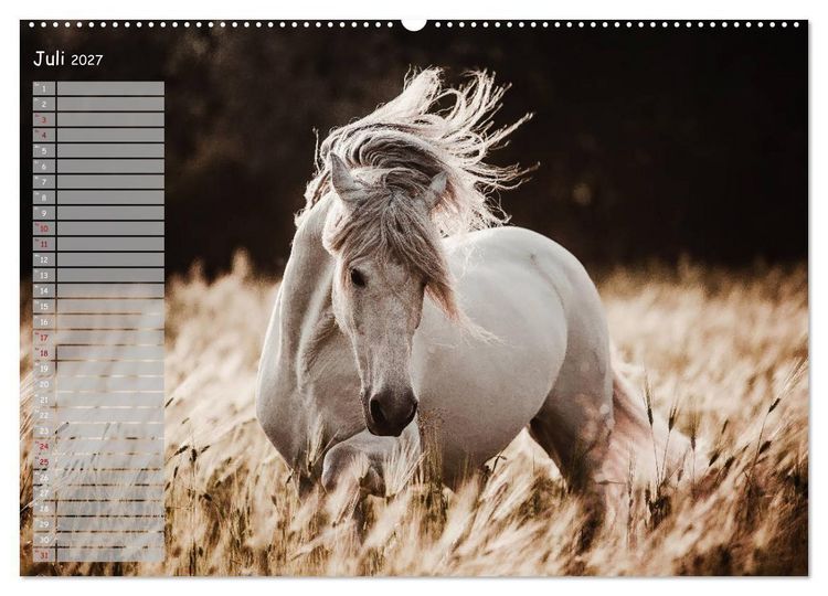 Produktbild: Pferde - Spiegel deiner Seele (Wandkalender 2027 DIN A2 quer), CALVENDO Monatskalender
