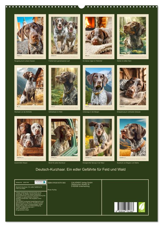 Produktbild: Deutsch-Kurzhaar. Ein edler Gef&auml;hrte f&uuml;r Feld und Wald (hochwertiger Premium Wandkalender 2027 DIN A2 hoch), Kunstdruck in Hochglanz