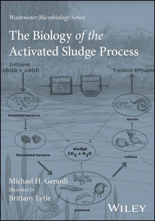 Produktbild: The Biology of the Activated Sludge Process