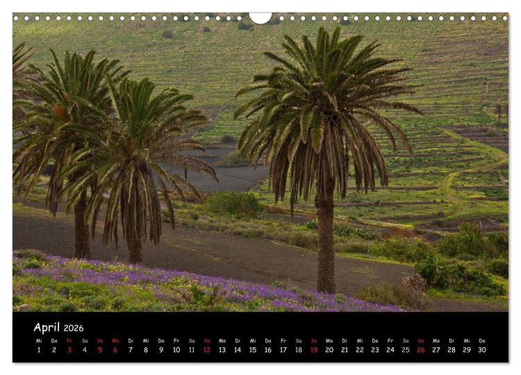 Produktbild: Lanzarote - Insel der Vulkane (Wandkalender 2026 DIN A3 quer), CALVENDO Monatskalender