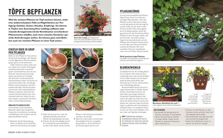 Produktbild: Gr&uuml;nes Gartenwissen. Pflanzen im Topf