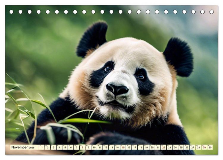 Produktbild: Gro&szlig;er Pandab&auml;r (Tischkalender 2026 DIN A5 quer), CALVENDO Monatskalender