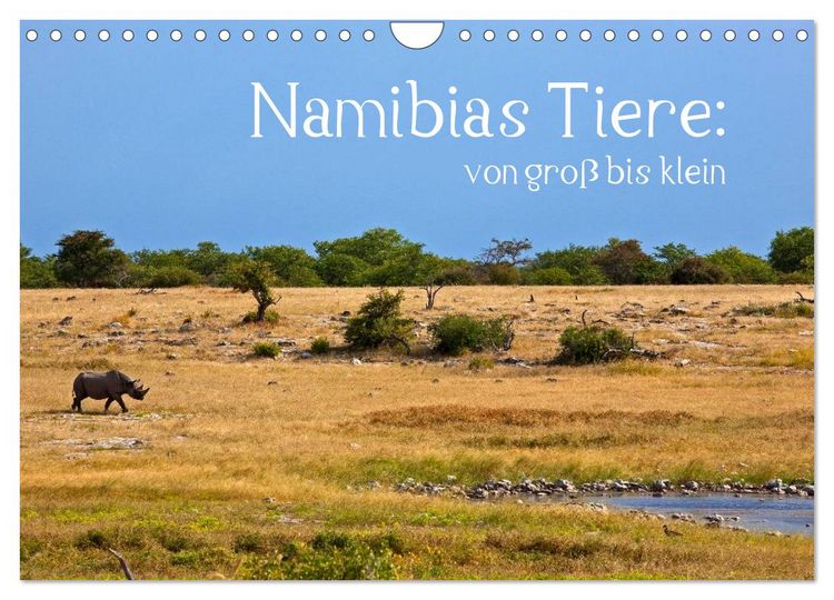 Produktbild: Namibias Tiere: von gro&szlig; bis klein (Wandkalender 2026 DIN A4 quer), CALVENDO Monatskalender