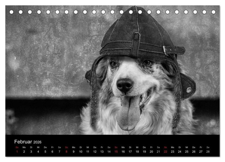 Produktbild: H&uuml;tehunde (Tischkalender 2026 DIN A5 quer), CALVENDO Monatskalender