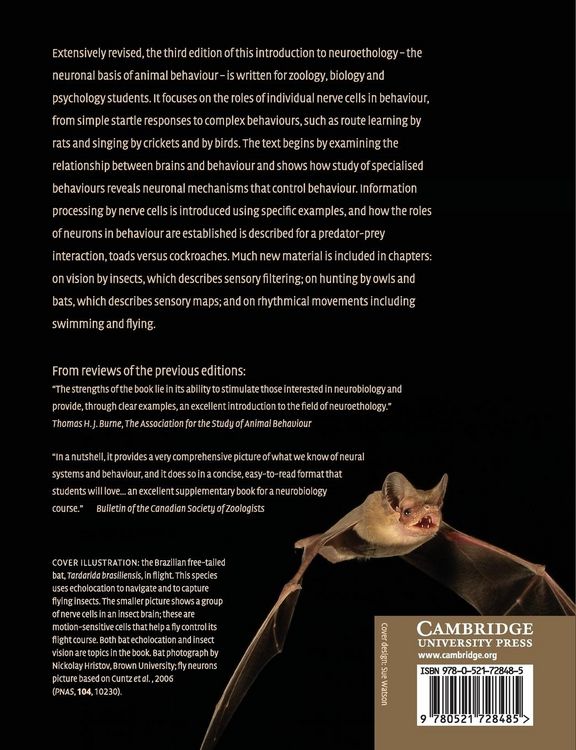 Produktbild: Nerve Cells and Animal Behaviour