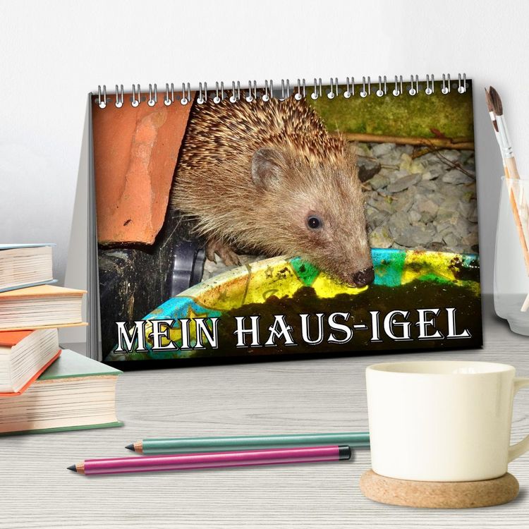 Produktbild: Mein Haus-Igel (Tischkalender 2026 DIN A5 quer), CALVENDO Monatskalender