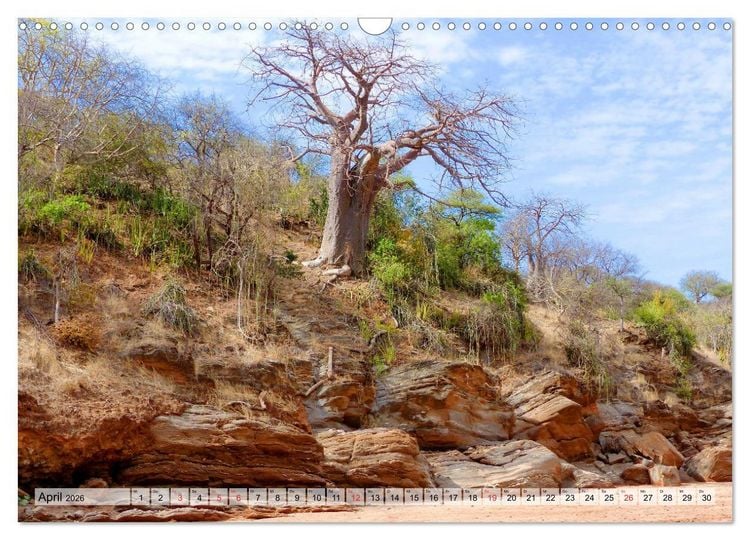 Produktbild: Tansania. Impressionen aus Ostafrika (Wandkalender 2026 DIN A3 quer), CALVENDO Monatskalender